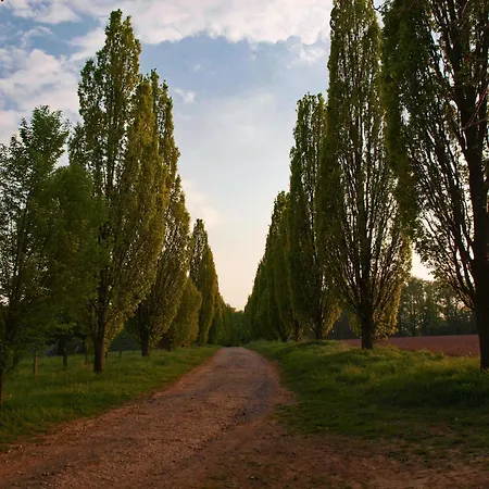 Hoppenhof 2 * Bad Arolsen