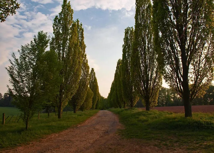 Hoppenhof 2 * Bad Arolsen